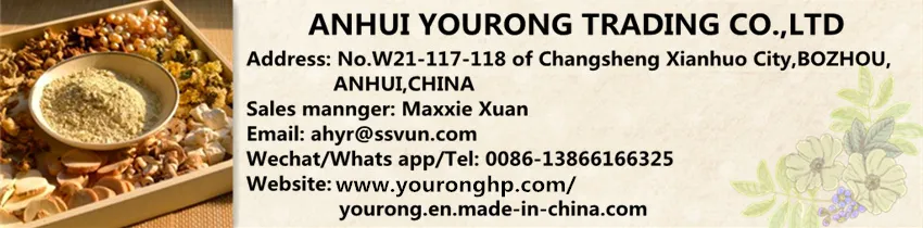 Chinese Medicine Safflower with The Function of Promoting Blood Circulation and Removing Blood Stasis, Dispersing Dampness and Removing Swelling