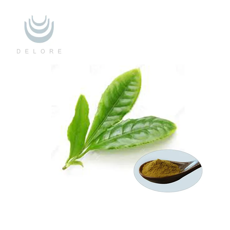 Chinese Tea Green Tea Extract MSDS Teapolyphenols Herbal Extract Weight Loss