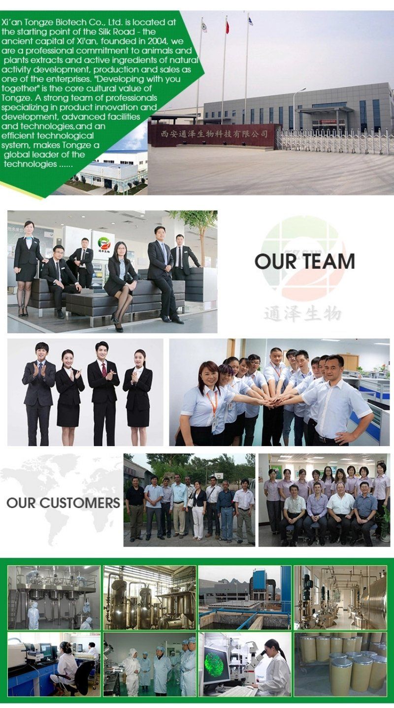 Clearing Heat Antitoxicant Cascara Sagrada Bark Extract /Cascara Sagrada Extract Rhamnus Purshiana Extract