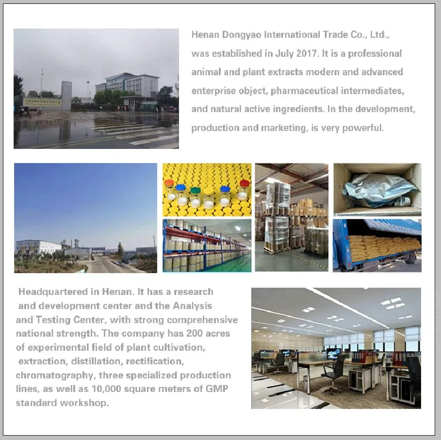 Coenzyme Q10/Coq10/Ubiquinone 10 99% CAS 303-98-0