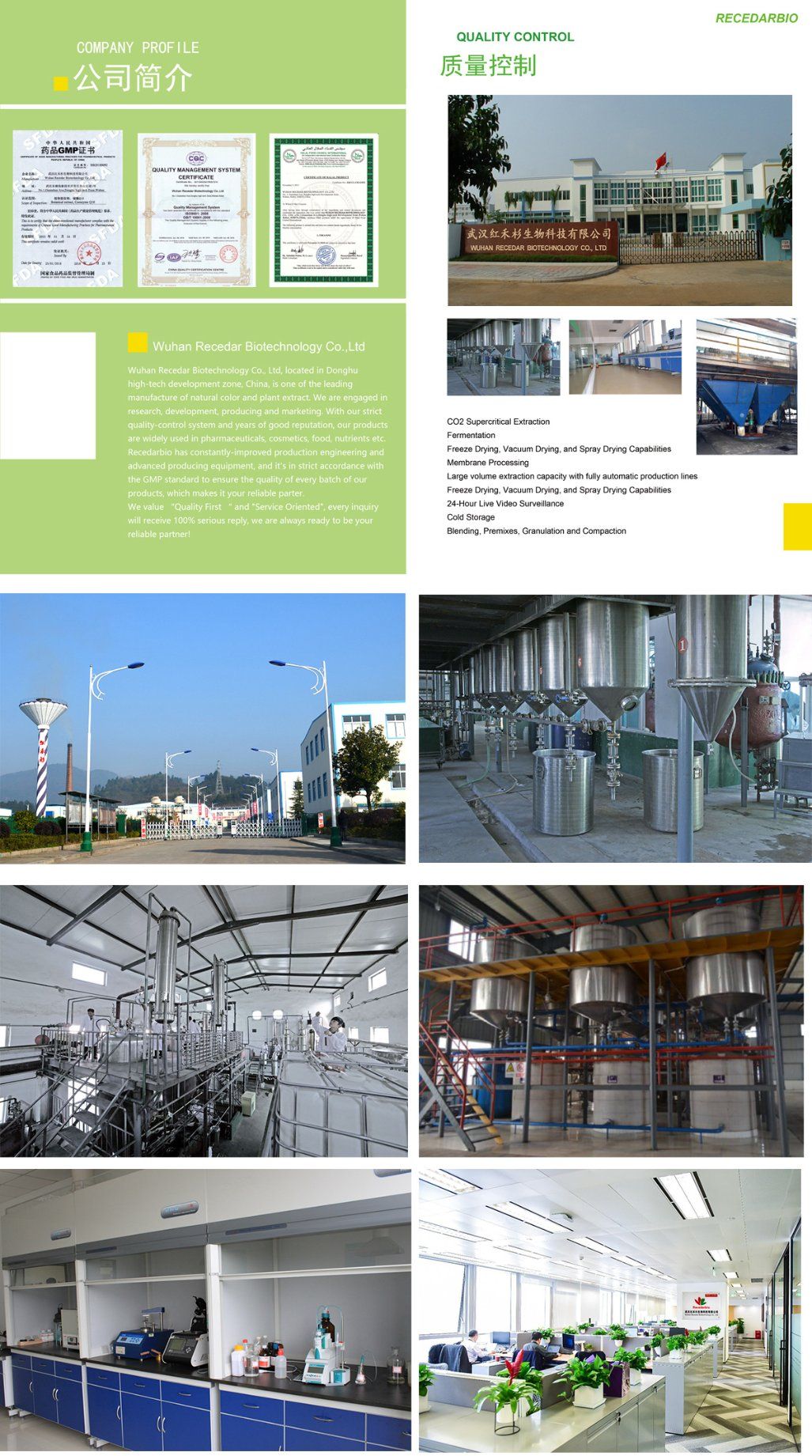 Cordyceps Sinensis Extract Powder 30% Cordyceps Sinensis Polysaccharide