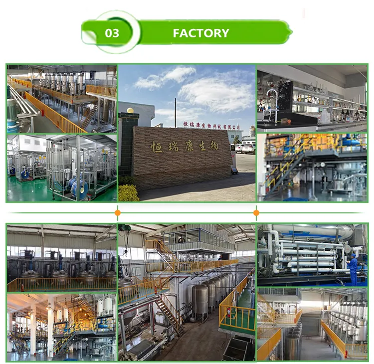 Cosmetic Grade Bulk Bearberry Leaf Extract Powder for Skin Whitening