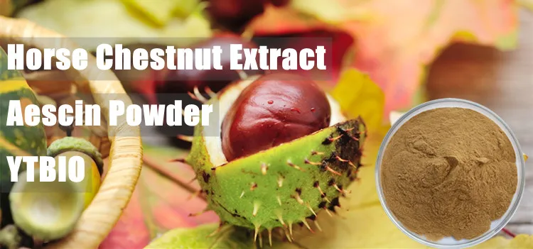 Cosmetics Grade Horse Chestnut Extract Powder 20% Aescin