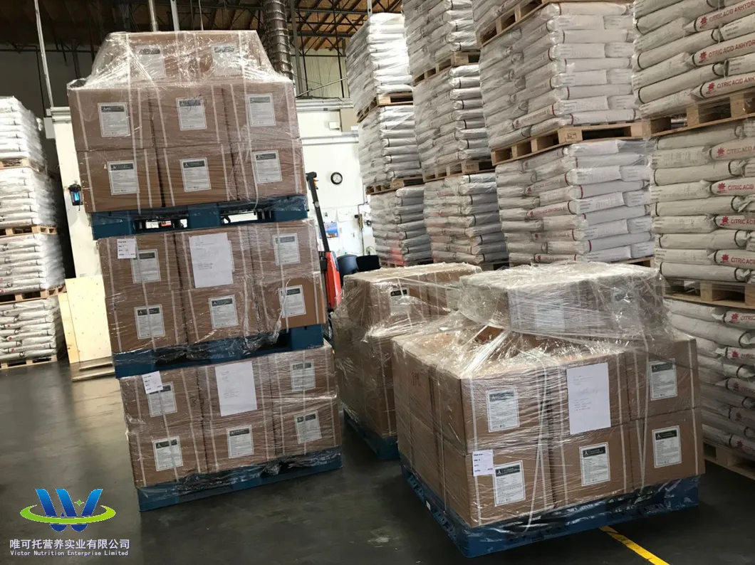 D-Calcium Pantothenate /Vitamin B5/Feed Additive