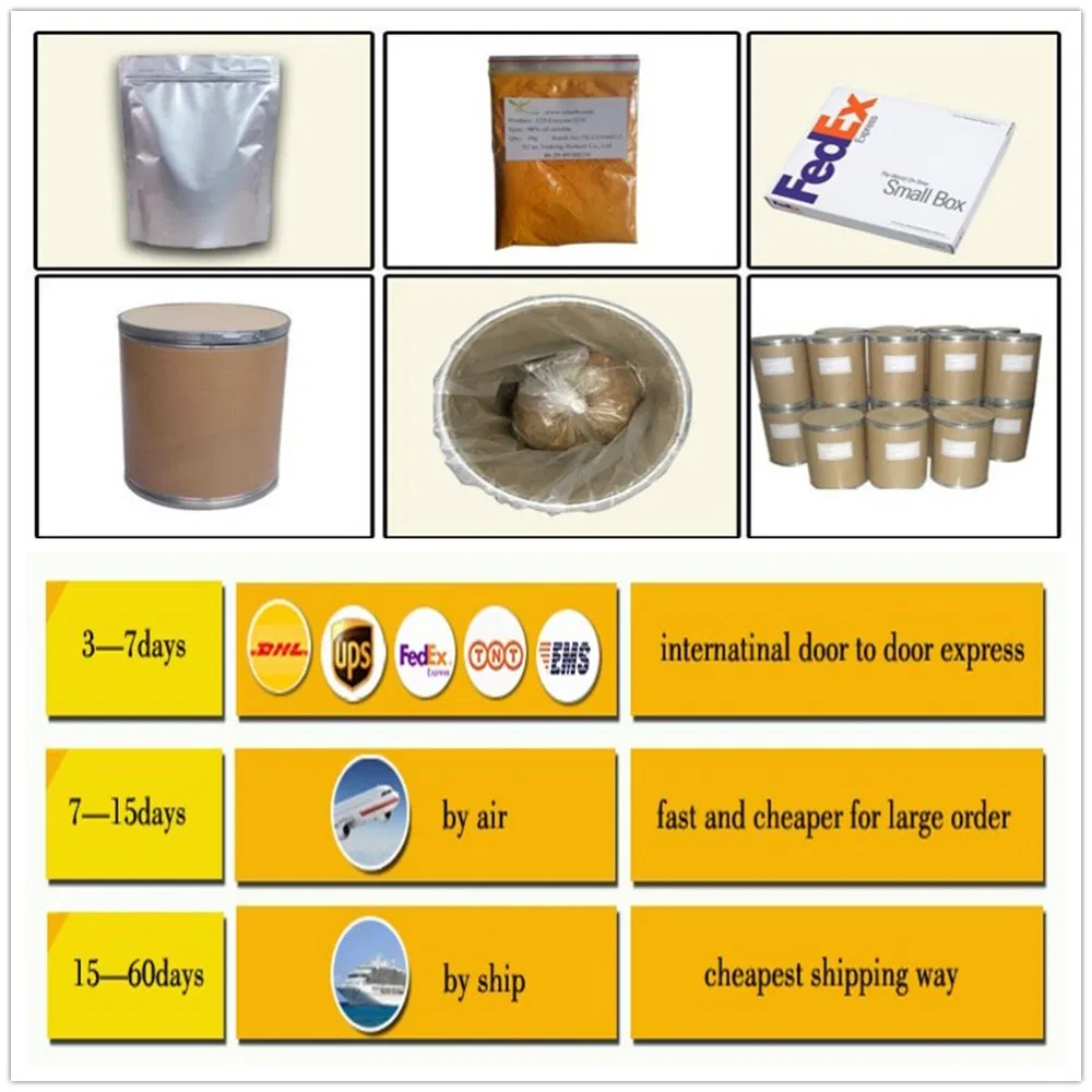 Dandelion Root Extract Powder 10: 1/for Liver/Kindney/Gallbladder Support