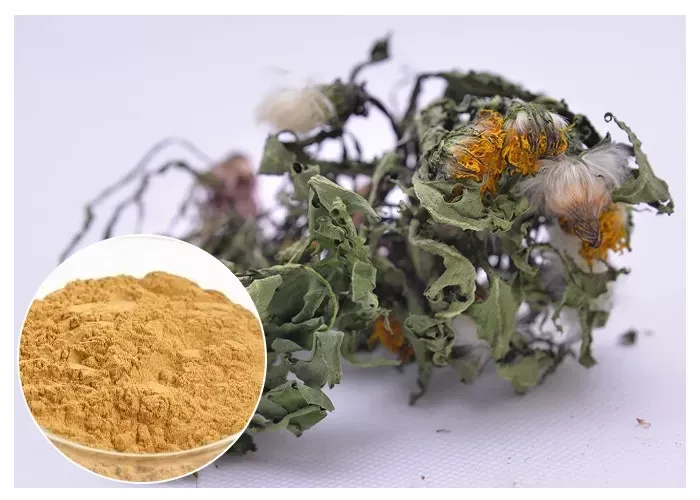 Dandelion Root Extract Powder 10: 1/for Liver/Kindney/Gallbladder Support