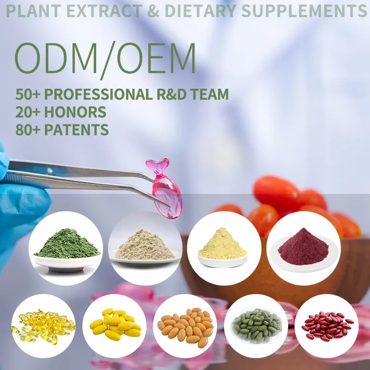 Dietary Supplement Natural Food Grade Luo Han Guo Extract Powder