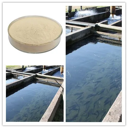 Easypond-P3 Probiotic