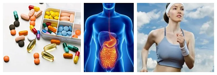 EU Organic Wholesale Pine Pollen Tincture Pine Pollen Tablet