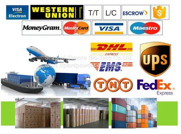 Factory Price 100% Natural Ginkgo Biloba Extract 24/6