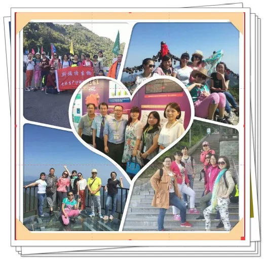 Factory Price 100% Natural Ginkgo Biloba Extract 24/6