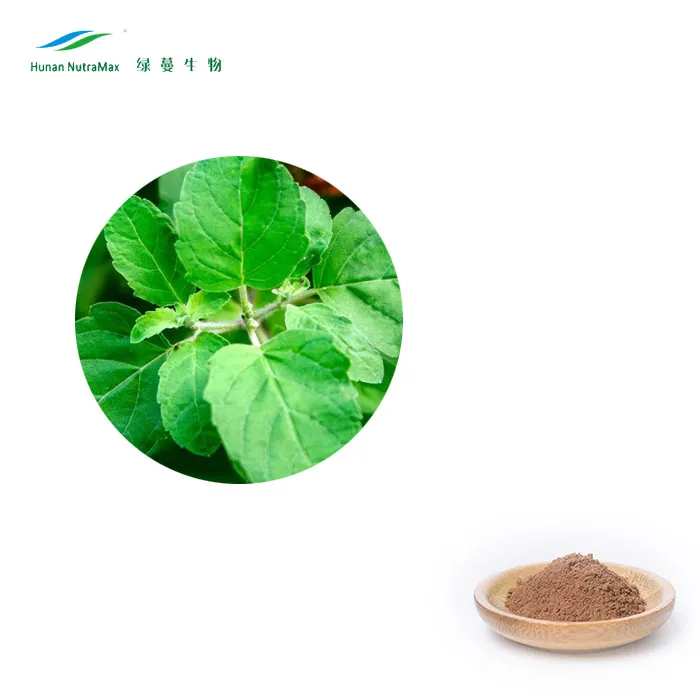 Factory Prices Organic Holy Basil Extract Powder