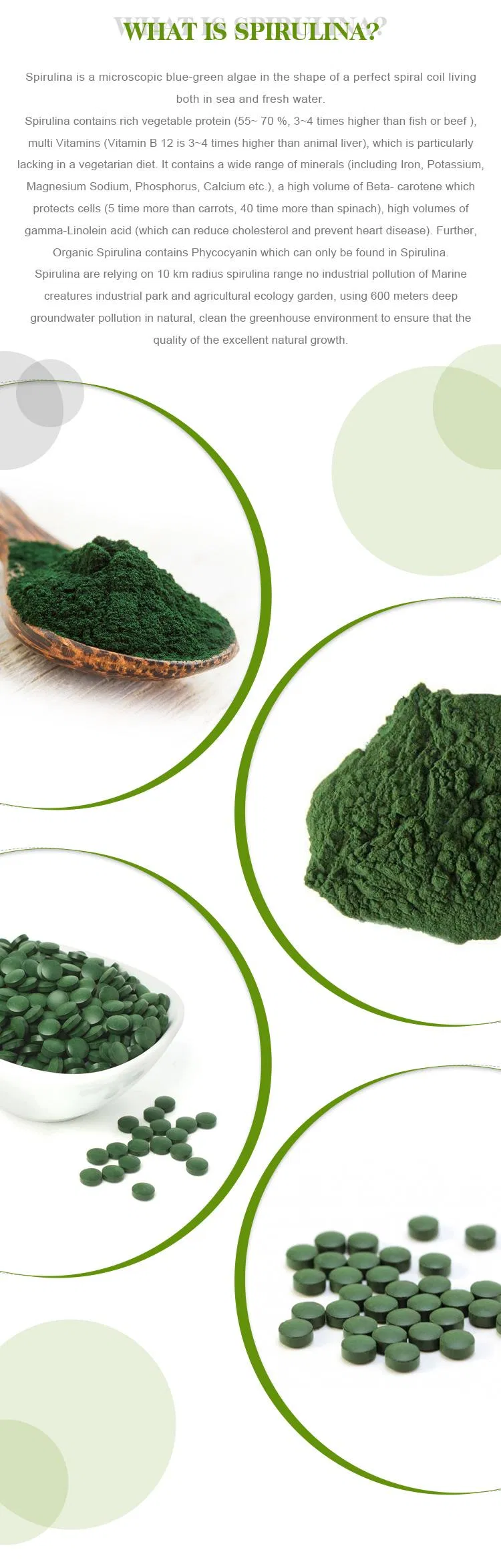 Factory Superior 100% Natural Health Food Spirulina Powder Tablets/Conventional Spirulina Powder/Spirulina Tablets