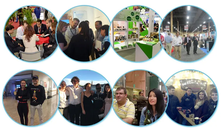 Factory Supply 100% Organic Instant Bulk Matcha Milk Tea Powder