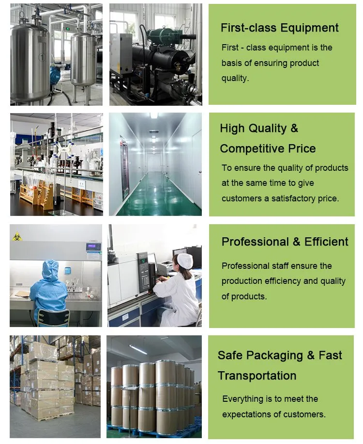 Factory Supply 100% Organic Instant Bulk Matcha Milk Tea Powder