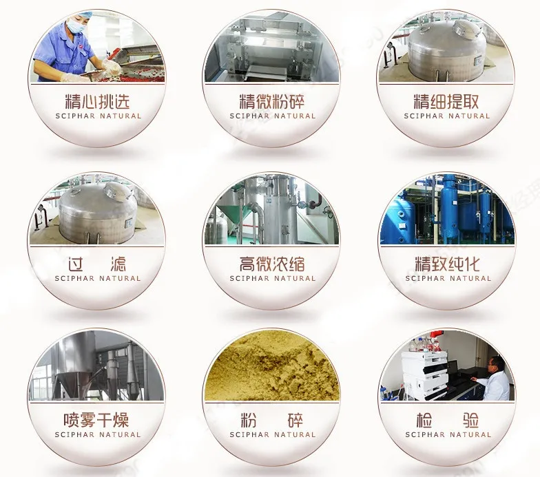 Factory Supply 100% Pure Natural Rosehip Extract 5% Vitamin C