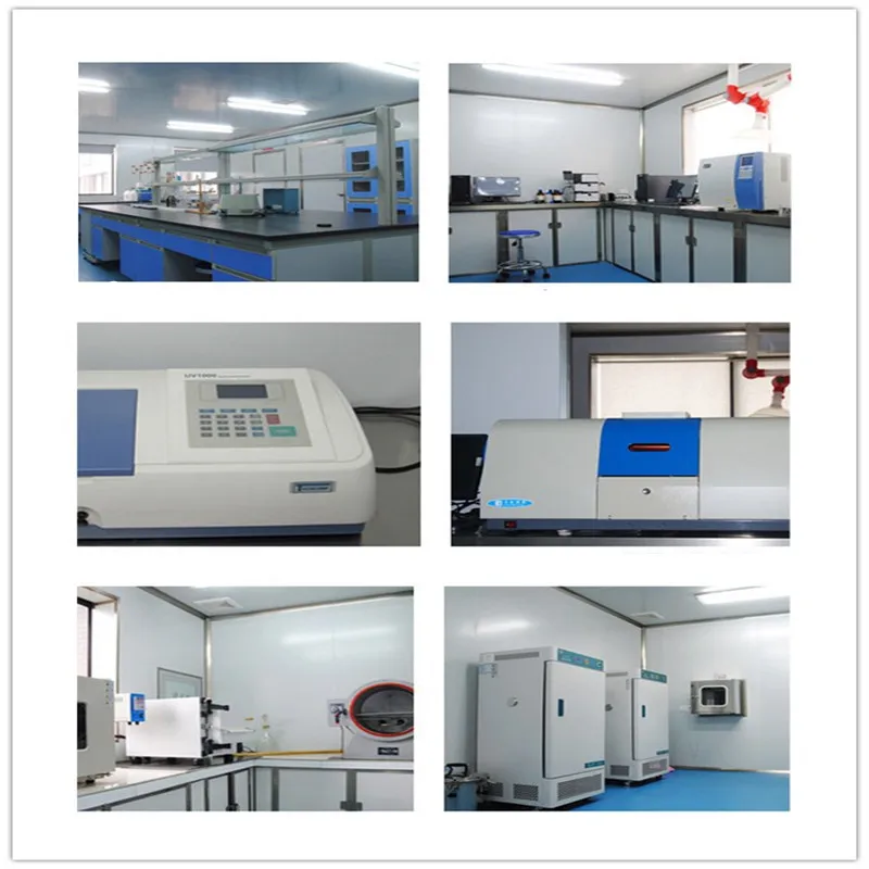 Factory Supply 100% Pure Natural Rosehip Extract 5% Vitamin C