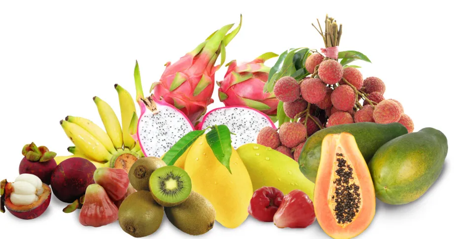 Factory Supply 100% Pure Natural Rosehip Extract 5% Vitamin C