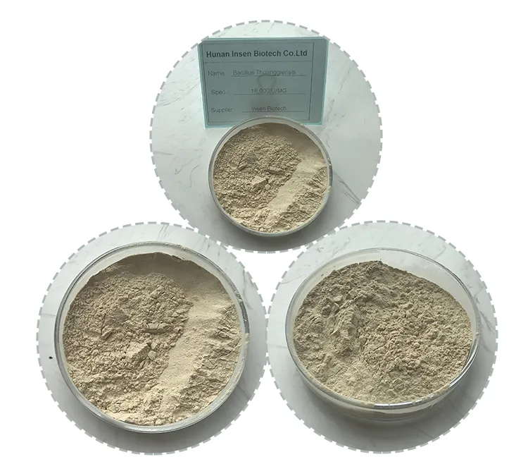 Factory Supply Bacillus Thuringiensis Aizawai