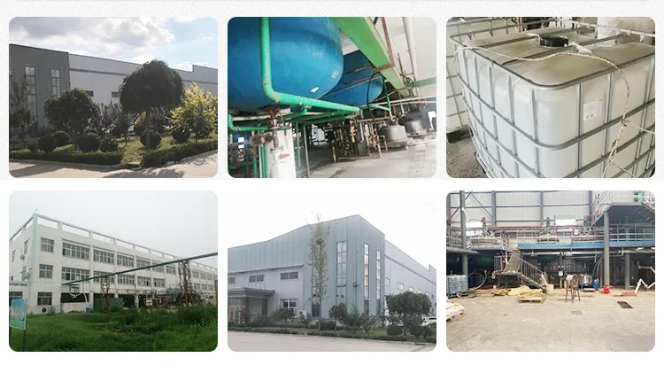 Factory Supply Best Capsaicin Price 404-86-4