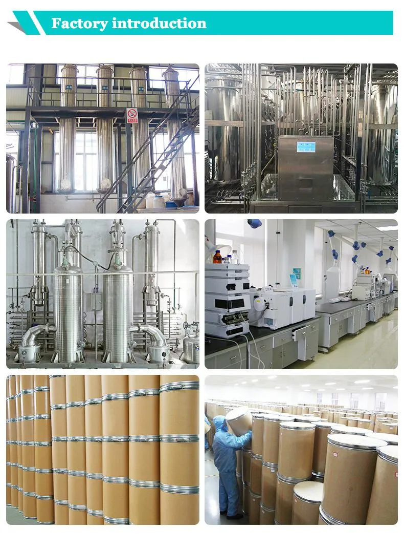 Factory Supply Best Product CAS 3081-61-6 L-Theanine Powder
