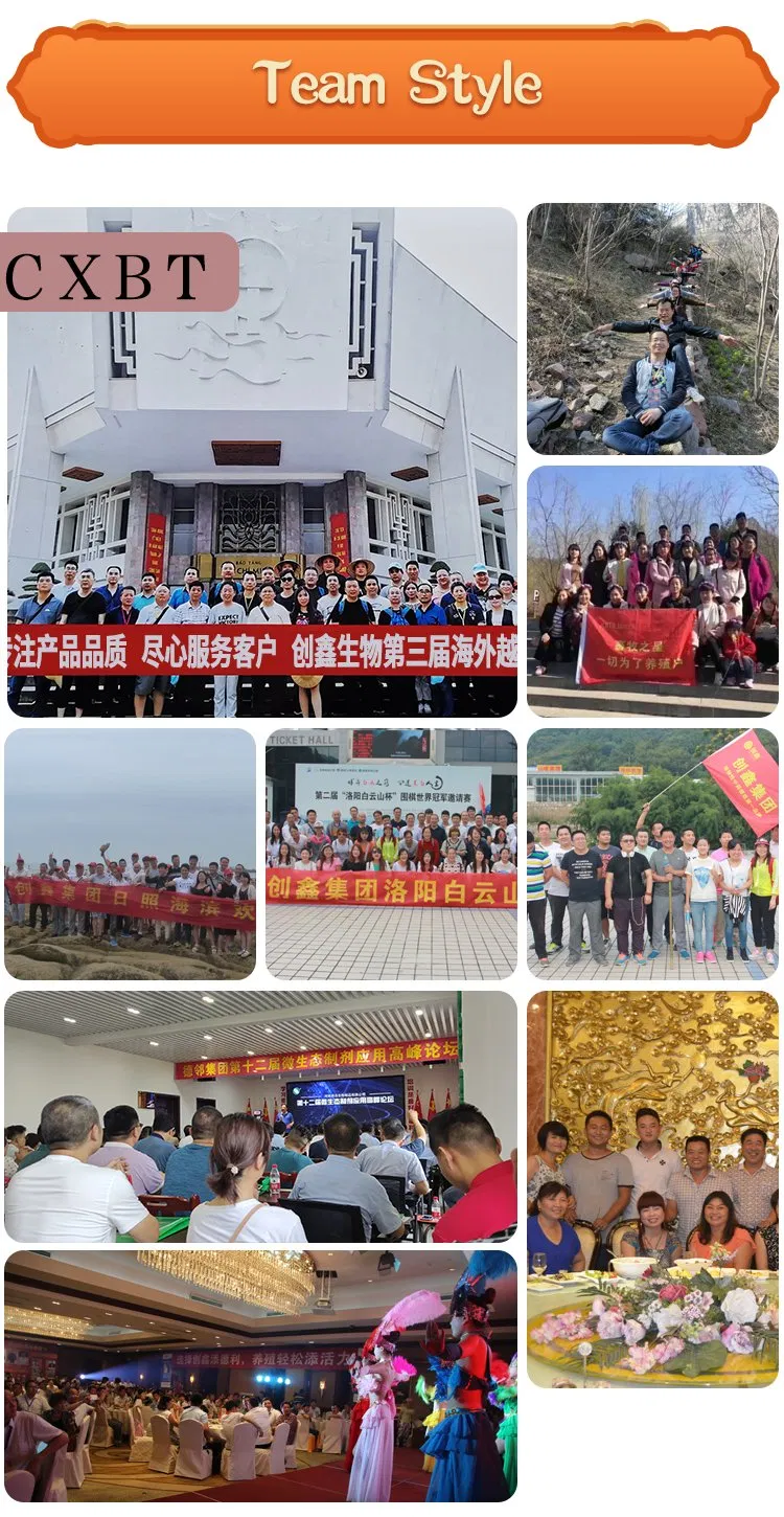 Factory Supply Food Grade Amino Acids L-Lysine/L-Lysine HCl