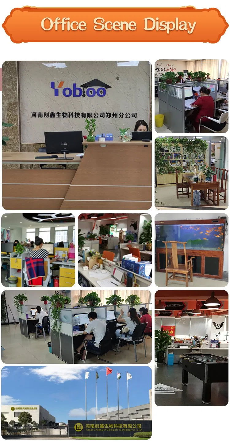 Factory Supply Food Grade Amino Acids L-Lysine/L-Lysine HCl