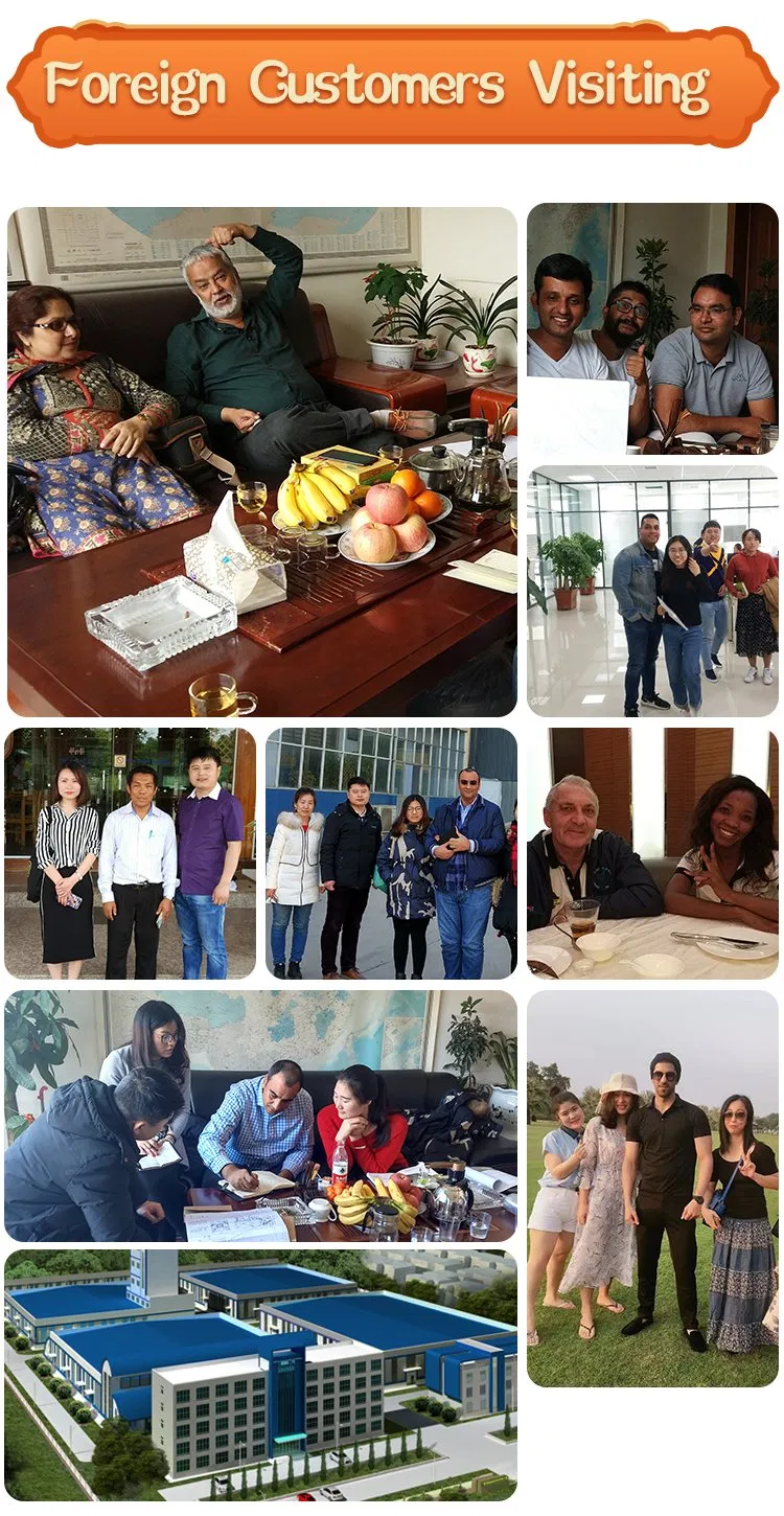 Factory Supply Food Grade Amino Acids L-Lysine/L-Lysine HCl