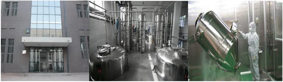 Factory Supply Gynostemma Extract Powder 98% Gypenosides