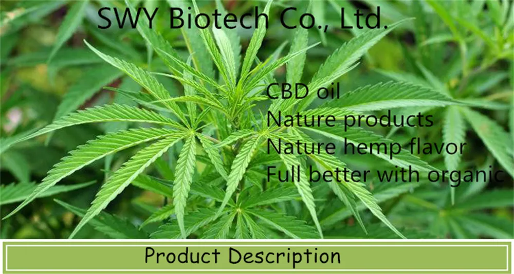 Factory Supply Hemp Extract 99.9%+ Ultra-Pure Cbd Powder