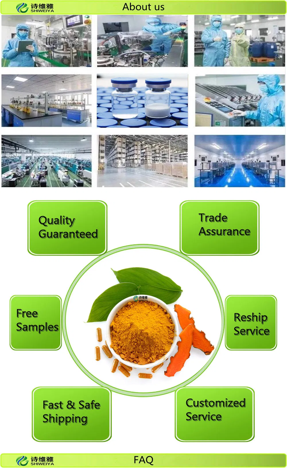 Factory Supply L-Theanine CAS 3081-61-6 Tea Extract Theanine