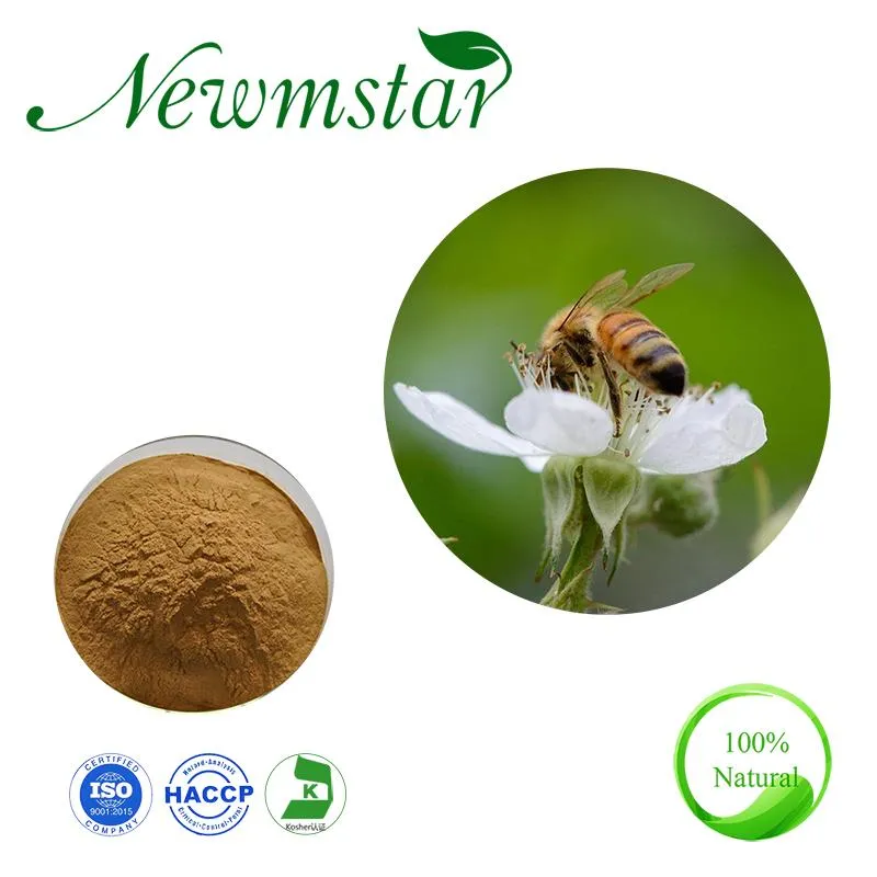 Factory Supply Lemon Balm Leaf Extract Melissa Officinalis Powder
