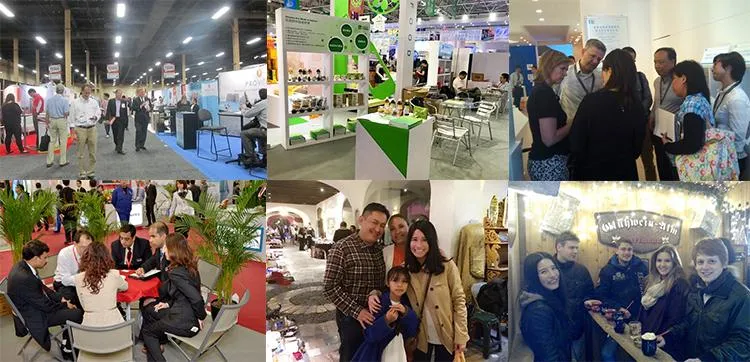 Factory Supply Natural Artichoke Leaf 5% Cynarin Extract Powder