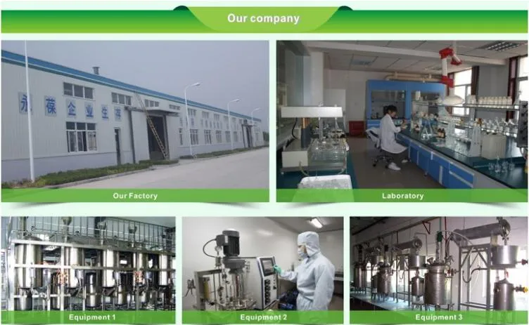 Factory Supply Natural Best Moringa Leaf Powder