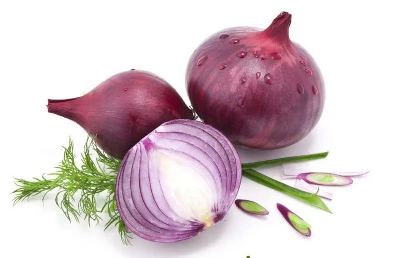 Factory Supply Natural Quercetin 5% Onion Extract Powder