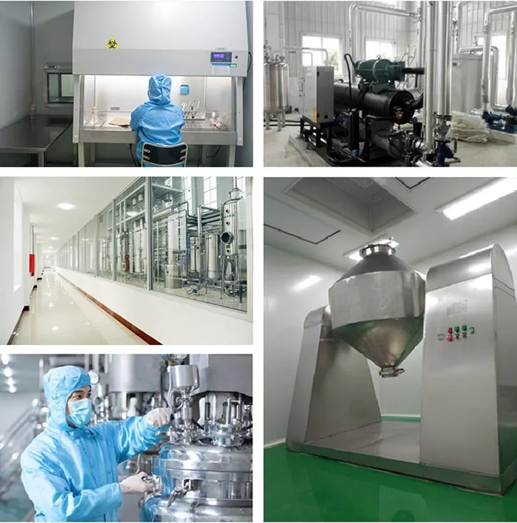 Factory Supply Pharmaceutical Grade Sophora Japonica Extract Quercetin 98% Powder