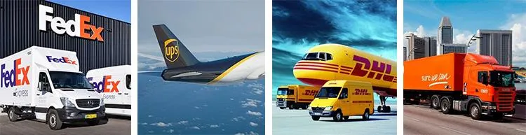 Factory Supply Pharmaceutical Grade Sophora Japonica Extract Quercetin 98% Powder