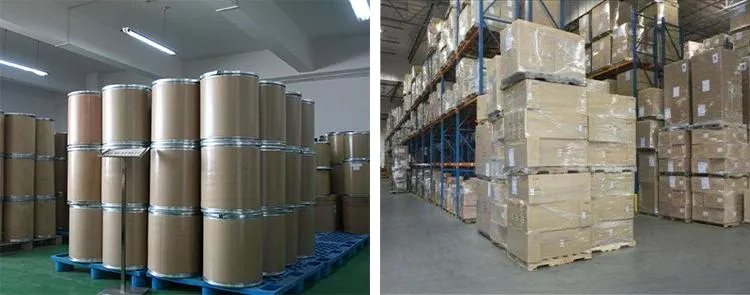 Factory Supply Pharmaceutical Grade Sophora Japonica Extract Quercetin 98% Powder