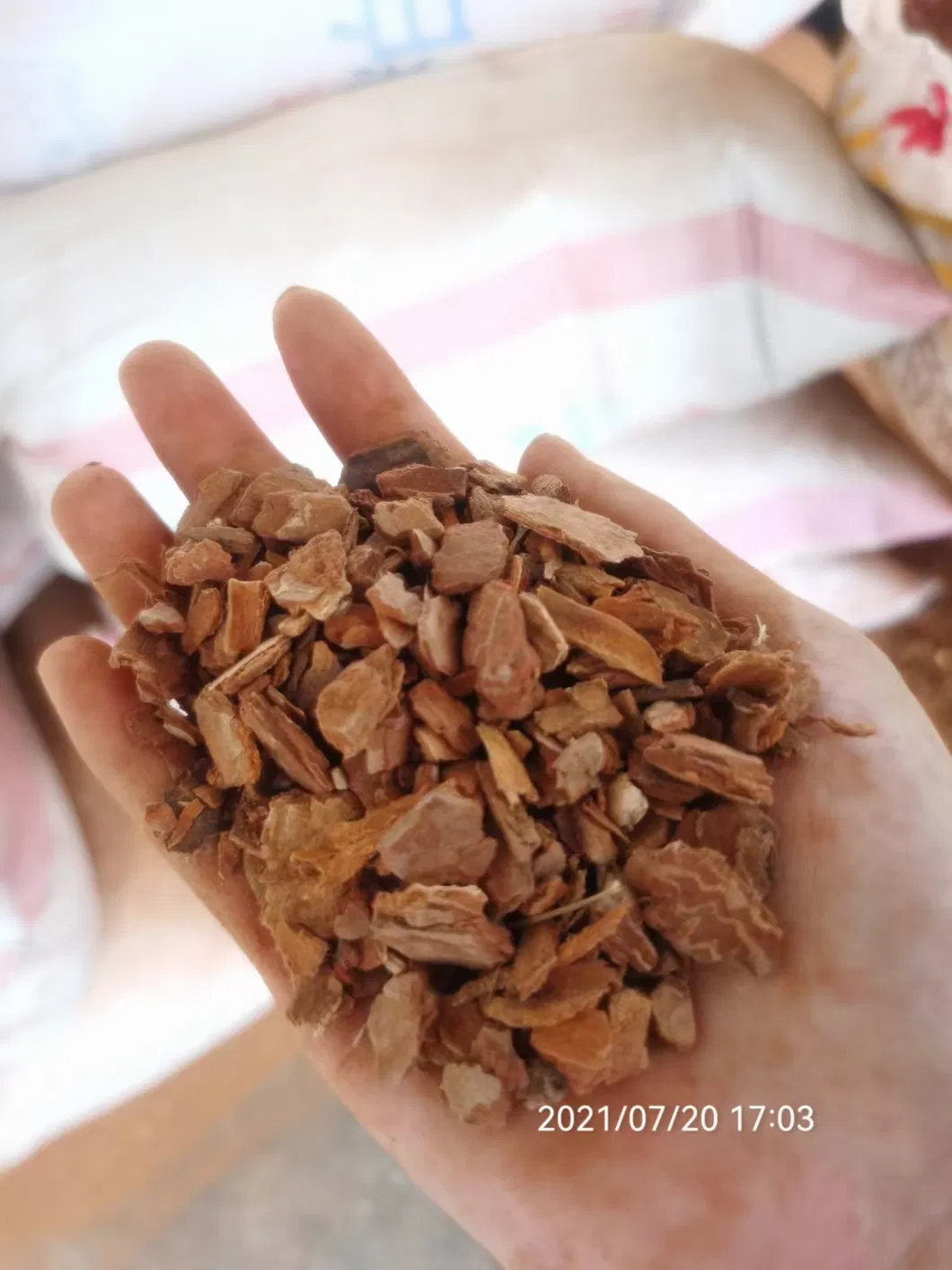 Factory Supply Pine Bark Extract 95% OPC