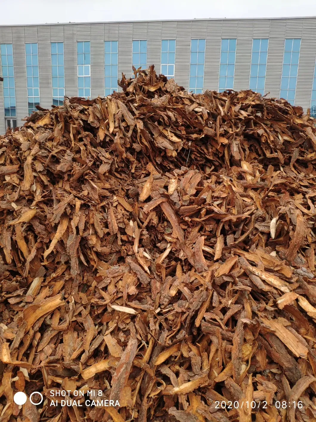 Factory Supply Pine Bark Extract 95% OPC