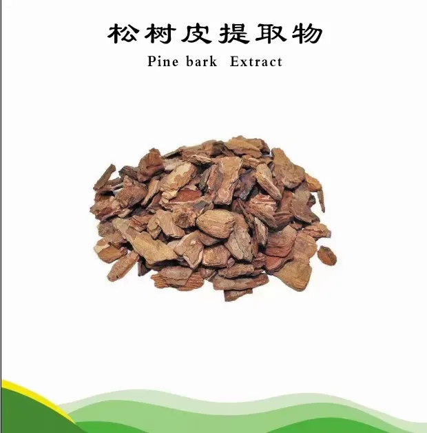 Factory Supply Pine Bark Extract 95% OPC