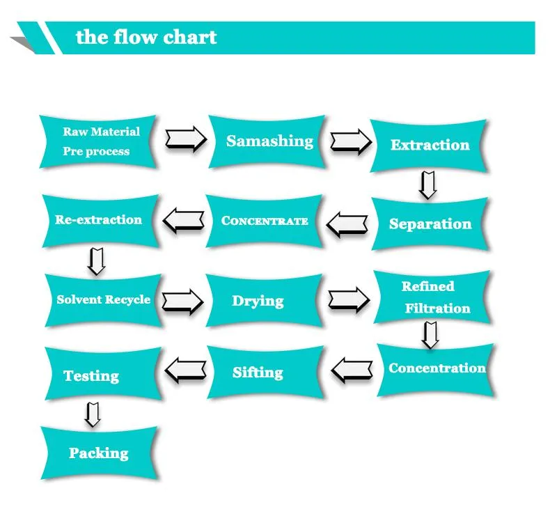 Factory Supply Pure Natural High Quality Horse Chestnut Extract Aescin