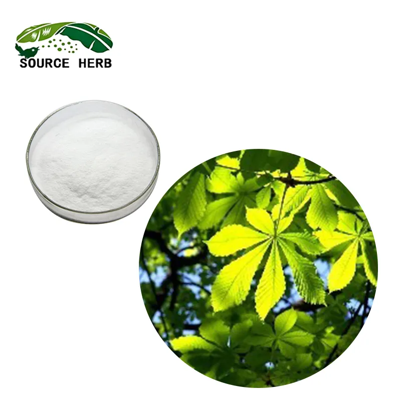 Factory Supply Pure Natural High Quality Horse Chestnut Extract Aescin