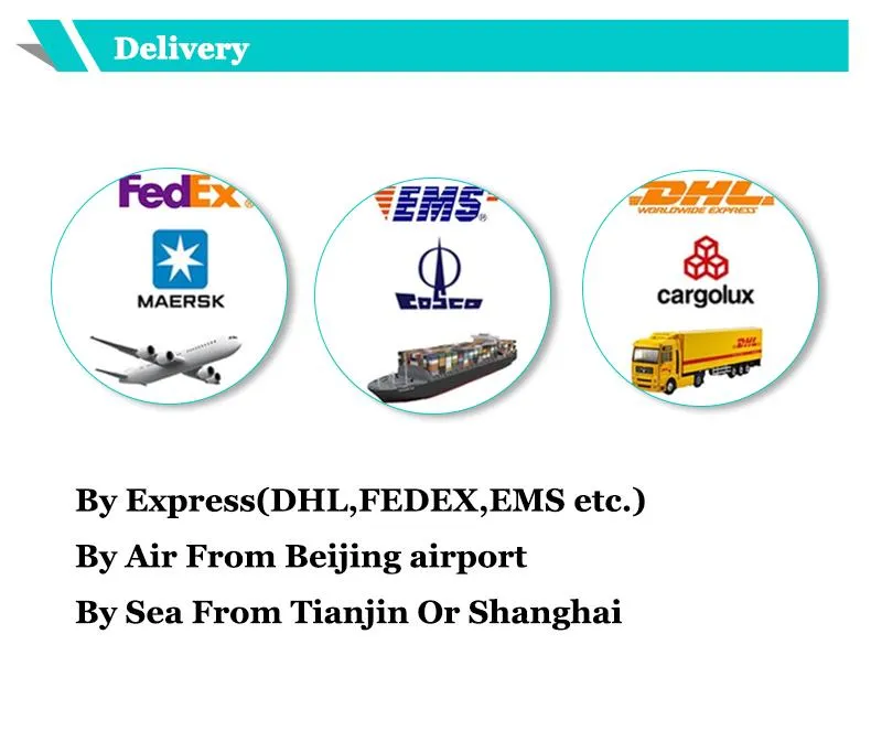 Factory Supply Pure Natural High Quality Horse Chestnut Extract Aescin