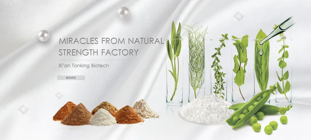 Factory Supply Red Pepper Extract Powder 98% Capsaicin Synthetic Capsaicin Powder