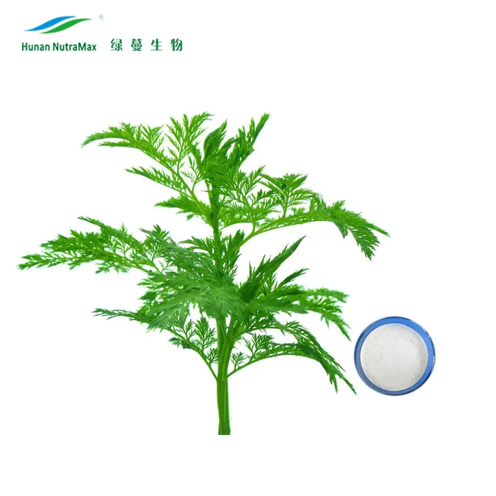 Factory Supply Wormwood Extract Powder with 98% Artemisinin