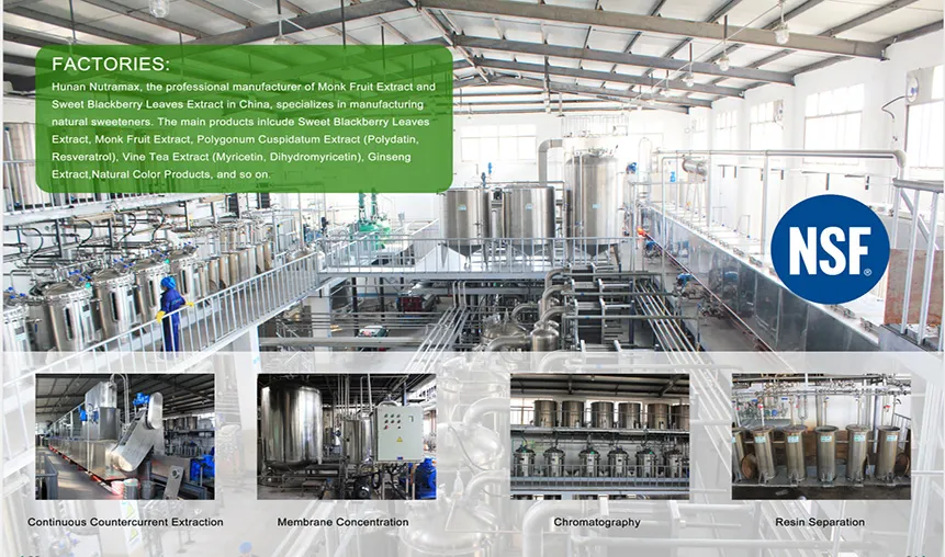 Factory Supply Wormwood Extract Powder with 98% Artemisinin