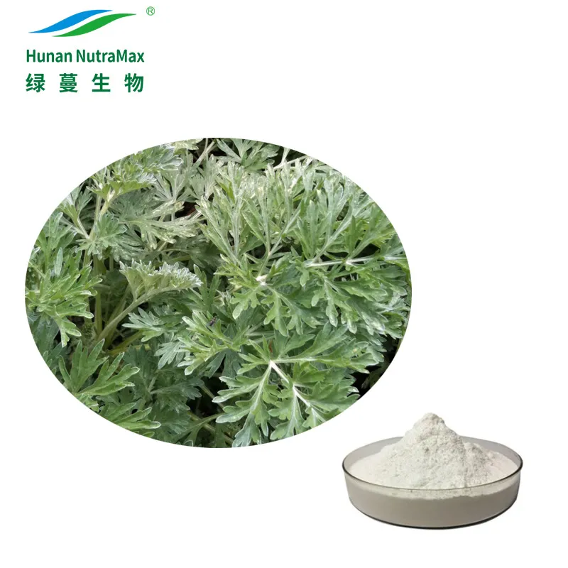 Factory Supply Wormwood Extract Powder with 98% Artemisinin