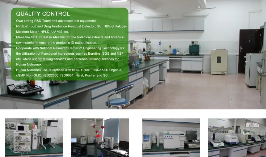 Factory Supply Wormwood Extract Powder with 98% Artemisinin