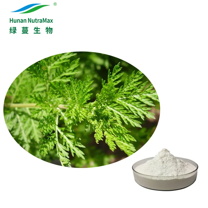 Factory Supply Wormwood Extract Powder with 98% Artemisinin
